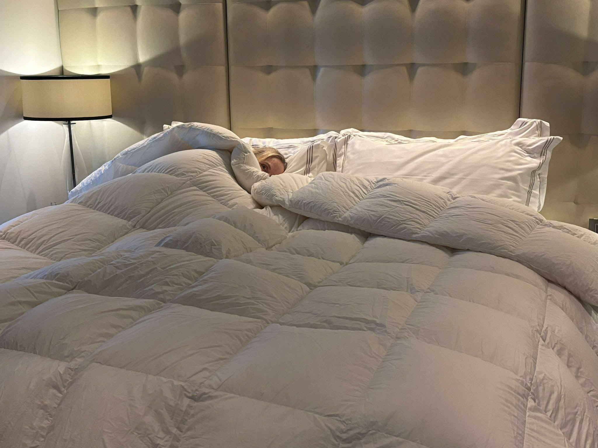 Baffle Boxed US Queen Size Comforter 98-99% White Premium Hand Select Polish Goose Down 4 Blanket Warmth 900 Fill Power