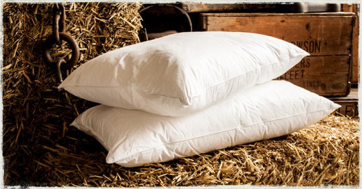 What Are the Different Sized Goose Down Pillows in USA vs Australia?