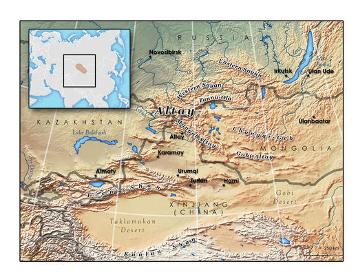 What are the differences between all the downs?