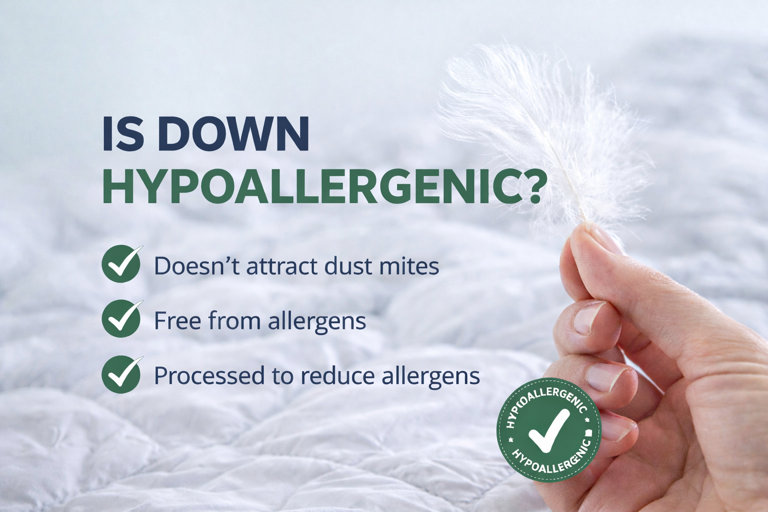 Is Down Hypoallergenic? Shane's Guide to Health. Premium Goose and Duck Down Allergy Free with professional cleaning and German Batiste Fabric