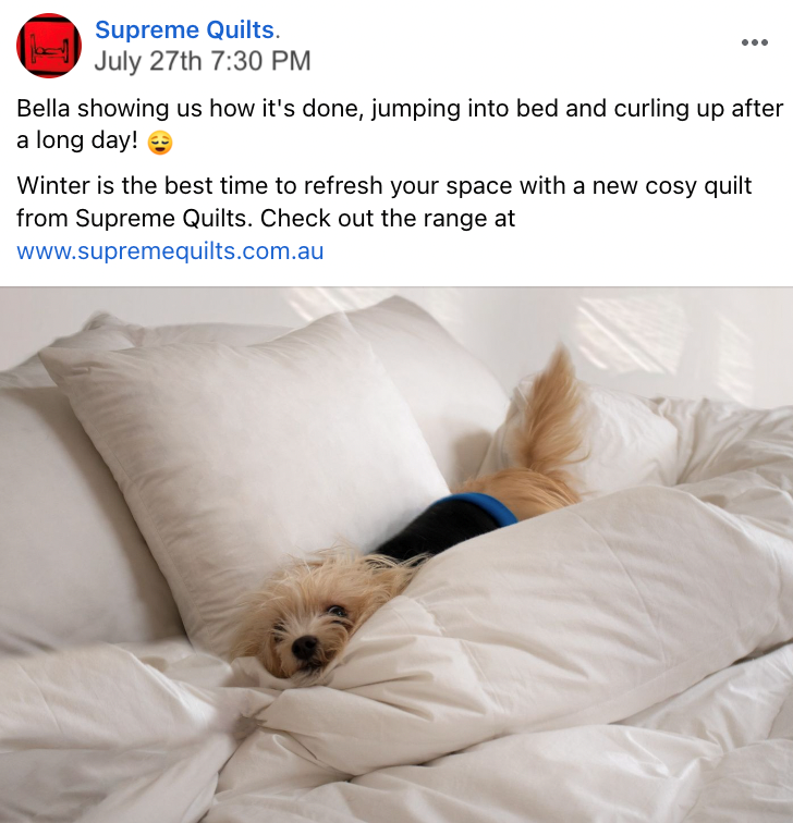 Be careful on where you buy a down quilt!