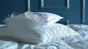 Goose Down vs Duck Down Pillows: Choosing the Perfect Pillow for Comfort and Longevity