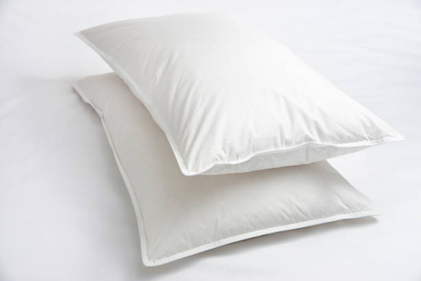 Why You Should Use a Professional for Washing Your Goose Down Pillows