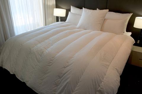 His and Her Queen Size Channel Quilt 95% White Premium Polish Goose Down 5 and 7 Blanket Warmth German Batiste TE100