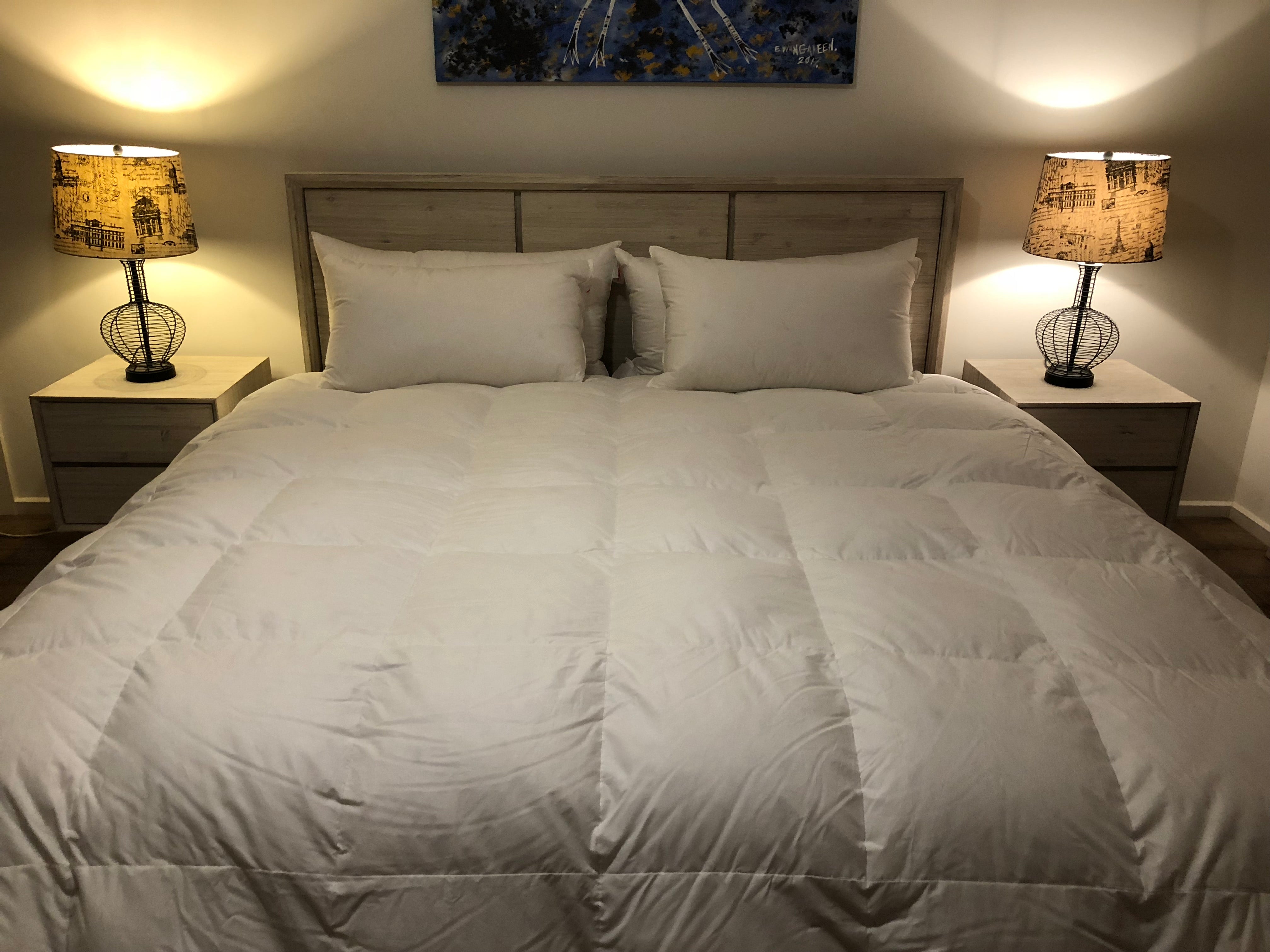 Queen Size Quilt Baffle Boxed 95% White Polish Mother Goose Down 7 Blanket Warmth 900 Fill Power