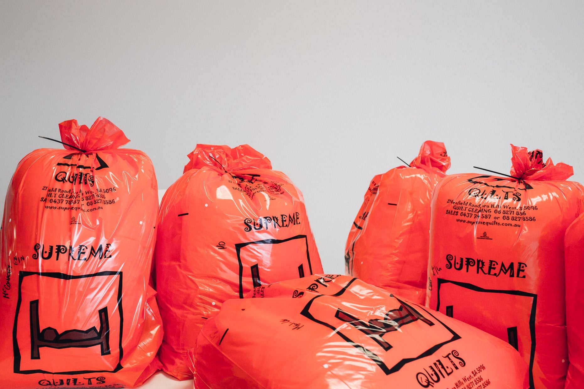 USA Standard Size Soft density or LOW profile Pillow 98-99% White Premium Hand Select Polish Goose Down German Batiste TE270 6